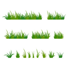 Set Of Green Tufts Grass