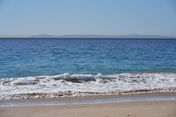 Sticker - waves at the beach