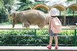 © makistock - Children feed Asian elephants in tropical safari park during summer vacation. Kids watch animals