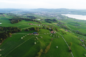 Wall Mural - Swiss Midlands with lake Sempach and hilly Landscape in Central Switzerland