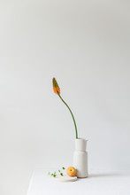 A Single Torch Lily Or Red Hot Poker In A Beige Vase With A Peach And Some Greens On A Wooden Plate On A White Table Top, Catching The Summer Evening Light.