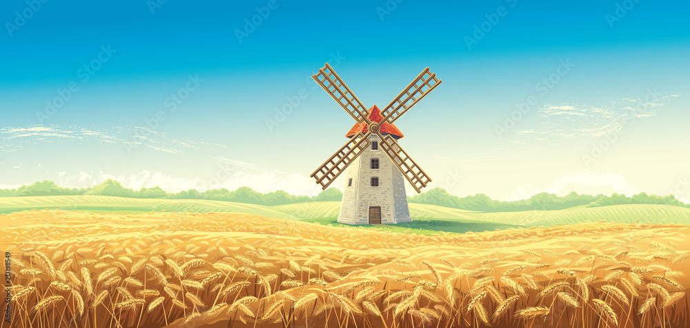 Rural summer landscape with windmill and wheat field. Vector illustration. - obrazy, fototapety, plakaty 