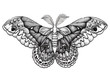 Butterfly tattoo art. Dotwork tattoo. Hyalophora cecropia. Cecropia moth. Symbol of freedom, nature, beauty, perfection