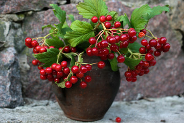 Bouquet with red Viburnum.