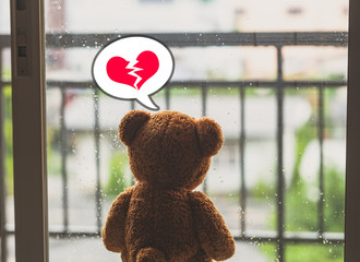 Wall Mural - teddy bear