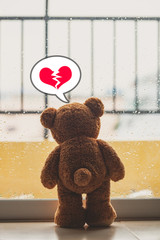 Wall Mural - teddy bear