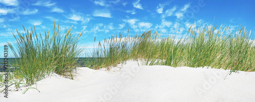 Naklejka plaża   morze-baltyckie-wydma