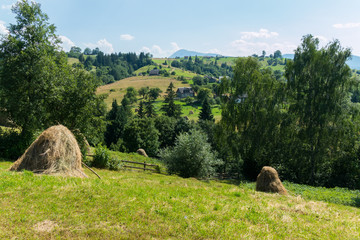 Wall Mural - haystacks in the background of trees and villages