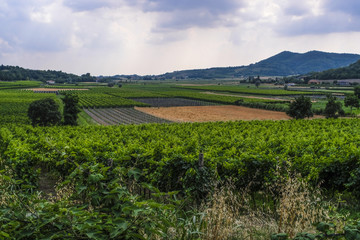 Sticker - Country landscape of North Italia