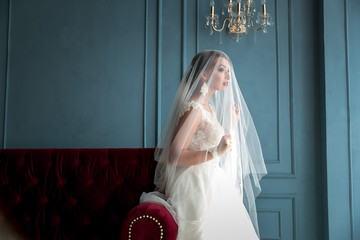 elegant, young brunette bride in vintage white dress posing under veil closeup with red lips. Bride portrait wedding makeup and hairstyle, fashion bride. Beautiful bride in veil