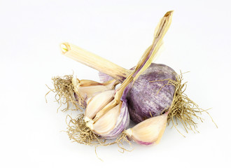 Organic purple garlic bulbs on a white background