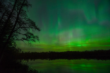aurora borialis