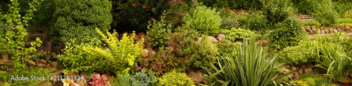 Zdjęcie XXL Panorama ogrodu z różnych roślin, ogród skalny.