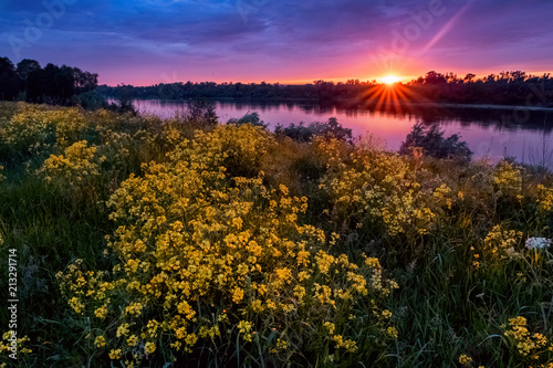 Fotografia, Obraz Summer sunset landscape with a river and yellow flowers