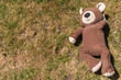 Teddy Bear Sunbathing on Grass with Plenty of Copy Space