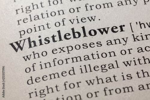 Cuadros en Lienzo definition of whistleblower