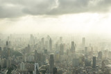 Fototapeta Zwierzęta - panoramic city skyline in shanghai china