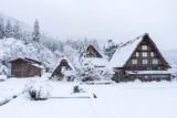 Fototapeta Do pokoju - ancient houses and white snow is heavy and covered throughout  Shirakawa-go village in Gifu, Japan.