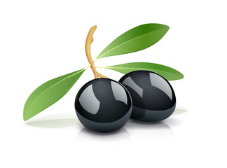 Wall Mural - Two black olive with leaf. Oil natural vegetarian product.