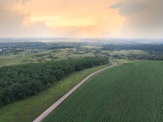 Wall Mural - Field, road, and forest at sunset - view from the drone