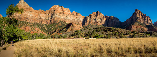 Wall Mural - Zion park