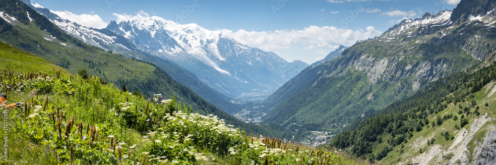 a view of the chamonix valley from the alpine mountains in the Vallorcine area with foreground of alpine meadows on a clear summer day with blue sky and bright clouds - obrazy, fototapety, plakaty 