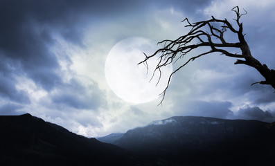 Wall Mural - Halloween background. Spooky mountains and tree with full moon
