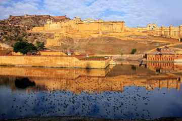 Wall Mural - Amber Fort reflected in Maota Lake near Jaipur, Rajasthan, India.