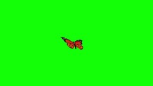 Orange Butterfly Flies Green Screen 3D Rendering Animation
