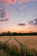 Abendstimmung 