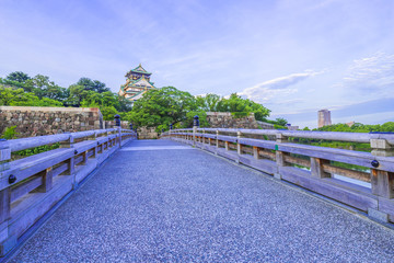 Wall Mural - 大阪城の風景