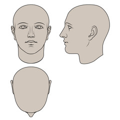 hand drawn androgynous, gender-neutral human head in face, profile and top views. colorable flat vec
