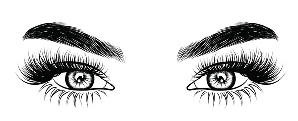 Wall Mural - Illustration of woman's sexy luxurious eye with perfectly shaped eyebrows and full lashes. Hand-drawn Idea for business visit card, typography vector. Perfect salon look.