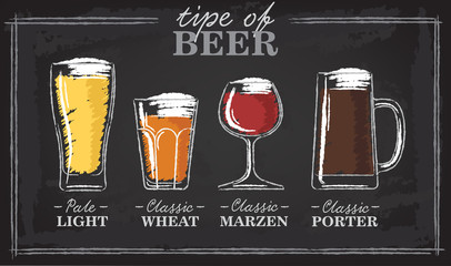 Beer types. A visual guide to types of beer. Various types of beer in recommended glasses. Vector illustration