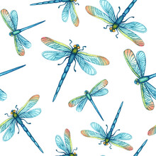 Seamless Pattern With Watercolor Blue Dragonflies