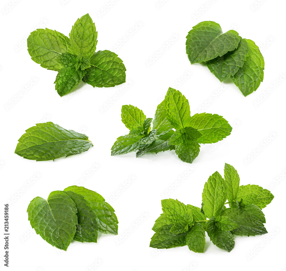 Set of fresh mint leaves isolated on white - obrazy, fototapety, plakaty 