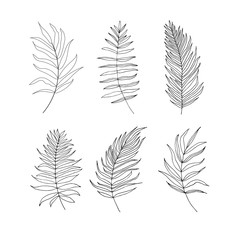 Naklejka na meble Set of palm,  jungle , tropical  leaves silhouettes isolated on white background.