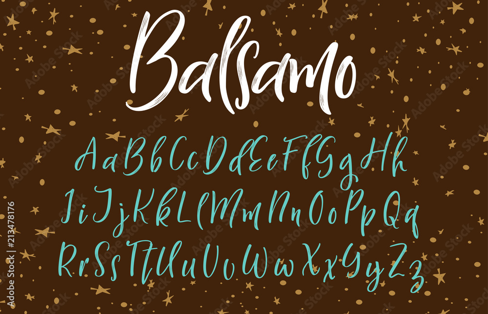 Handwritten calligraphy font. Vector alphabet. Hand drawn letters Stock ...
