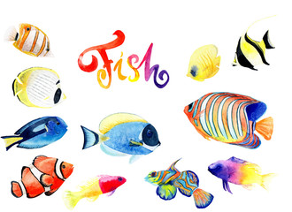 watercolor drawings of bright fish