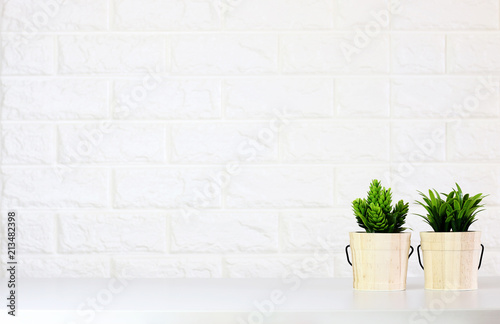 Front View Green Plants Wooden Pot On White Brick Wall Background Copy Space Stock Photo Adobe Stock