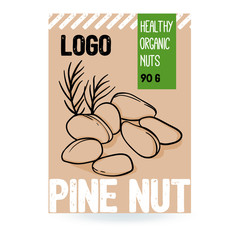 Beautiful vector hand drawn pine organic nut. Template elements collection for packaging design. Modern illustrations isolated on white background.