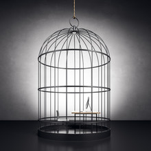 Birdcage With Workplace