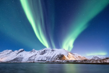 Canvas Print - Northen light above mountains and ocean. Beautiful natural landscape in the Norway