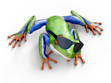 3D Rendering Of A Realistic Red-eyed Tree Frog Wearing Sunglasses.