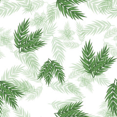  Seamless pattern of Eucalyptus different tree, foliage natural branches, green leaves, herbs, plant hand drawn Vector beauty rustic eco friendly background on white