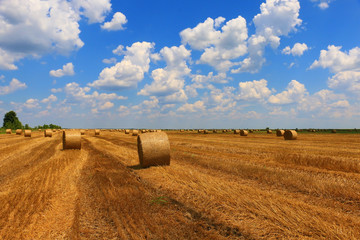 Poster - Hay bale in the countryside