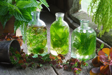 Wall Mural - bottles and vials of tincture or infusion of healing herbs, nettle and medicinal herbs on wooden tab
