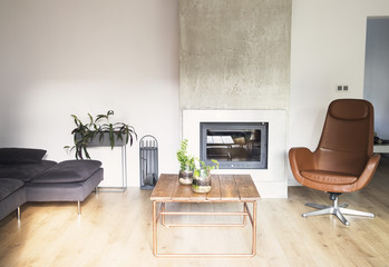 Modern and beautiful home interior with design sofa, wooden table and fireplace. Bright and sunny living room with plants and brown wooden floor.