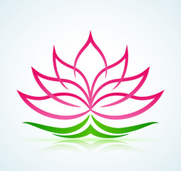 lotus flower on white background