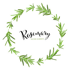  Herb and spice frame with branch of green rosemary leaves on white background template. Vector set of element for advertising, packaging design of condiment products.